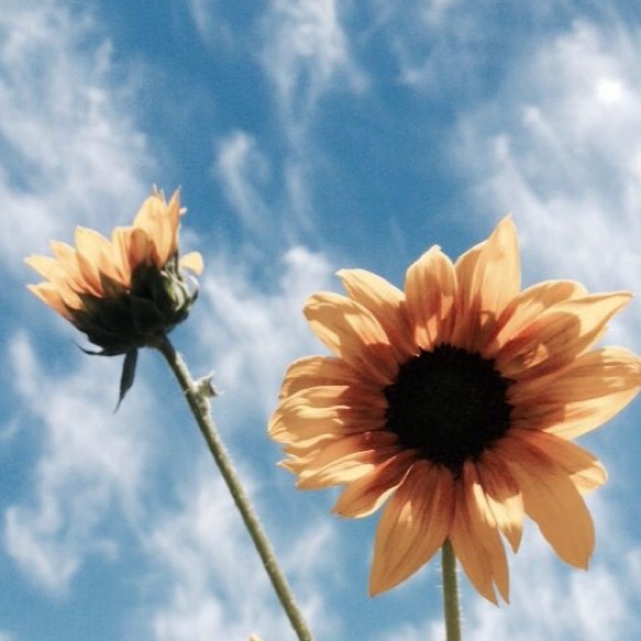 Meet your Posher, Baylee - Picture 1 of 1